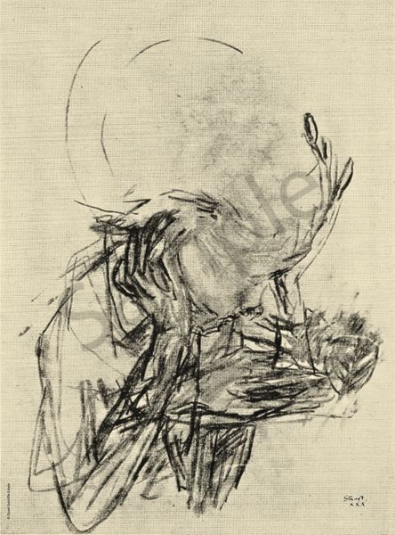 Head – Holding Court at the Victoria Museum by Stuart Sutcliffe